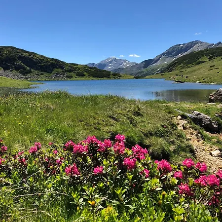 Dom wakacyjny Ferienlodge Edelstein