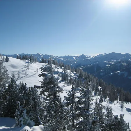 Ferienlodge Edelstein Tatil Evi *