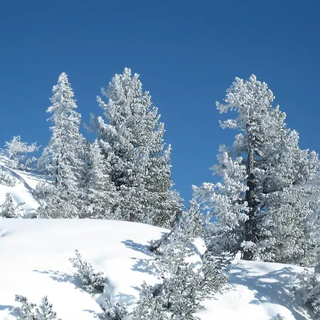 Ferienlodge Edelstein Tatil Evi *