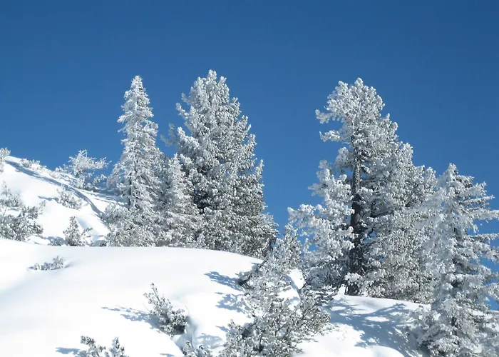 Ferienlodge Edelstein Holiday home *